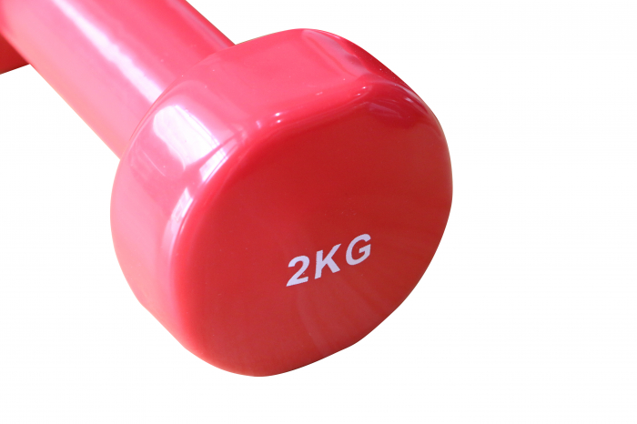 Vynil Dumbbell FITSKIN [2]