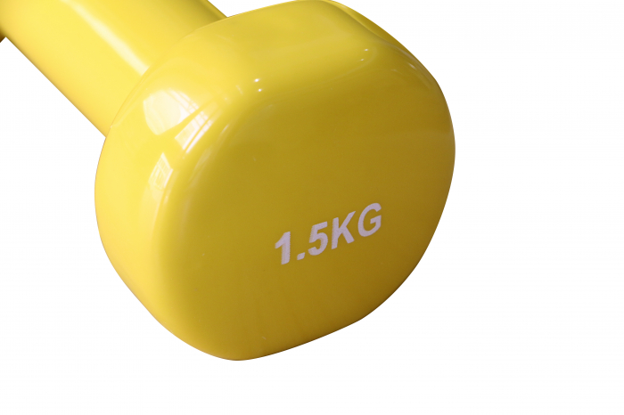 Vynil Dumbbell FITSKIN [2]