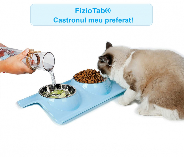 Castron Hranire cu 2 Boluri Inox, FizioTab® – Pentru Caini de Talie Mica si Pisicute, Albastru [4]