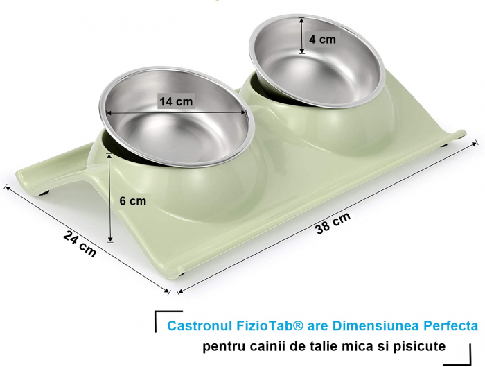 Castron Hranire cu 2 Boluri Inox, FizioTab® – Pentru Caini de Talie Mica si Pisicute, Verde [5]