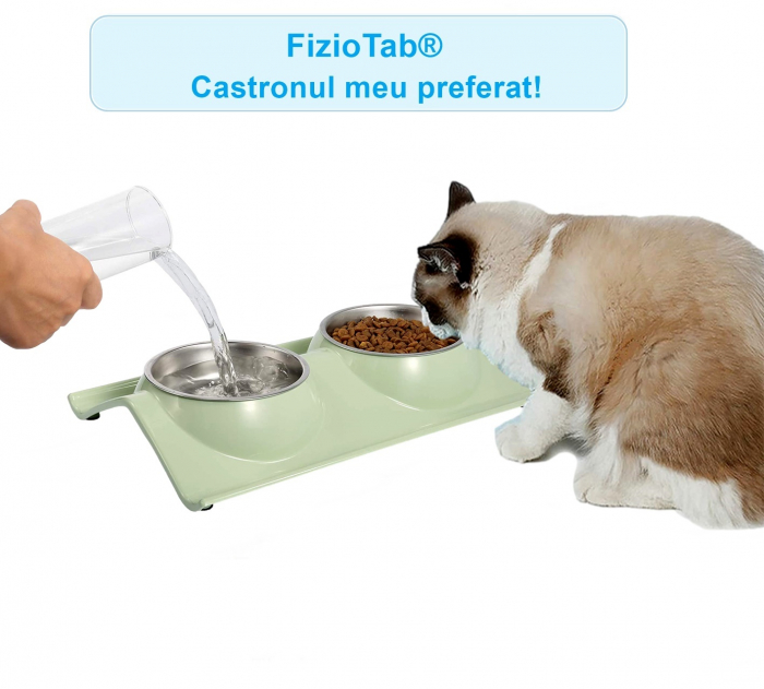 Castron Hranire cu 2 Boluri Inox, FizioTab® – Pentru Caini de Talie Mica si Pisicute, Verde [3]