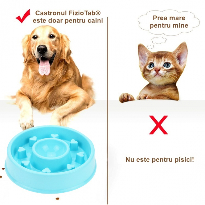 Castron Hranire Lenta Caini FizioTab®, pentru Prevenirea Indigestiei, Antiderapant, Love, Albastru [7]