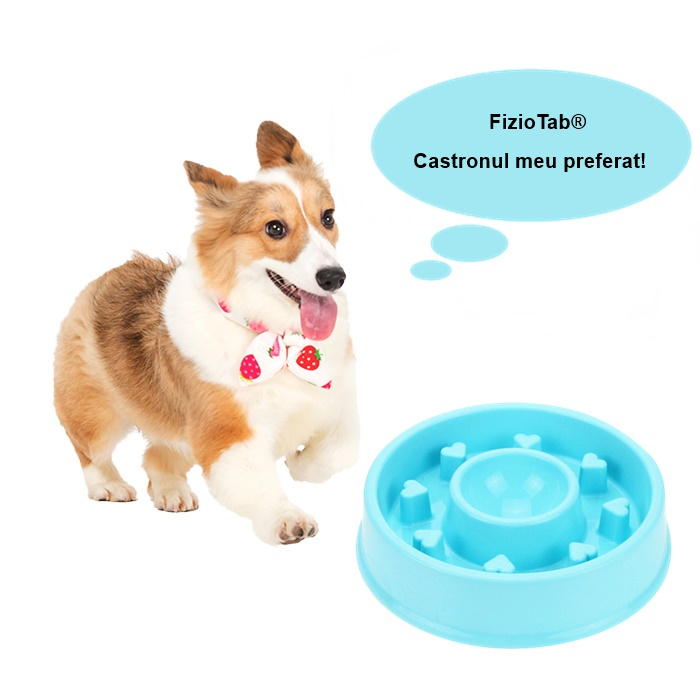 Castron Hranire Lenta Caini FizioTab®, pentru Prevenirea Indigestiei, Antiderapant, Love, Albastru [9]