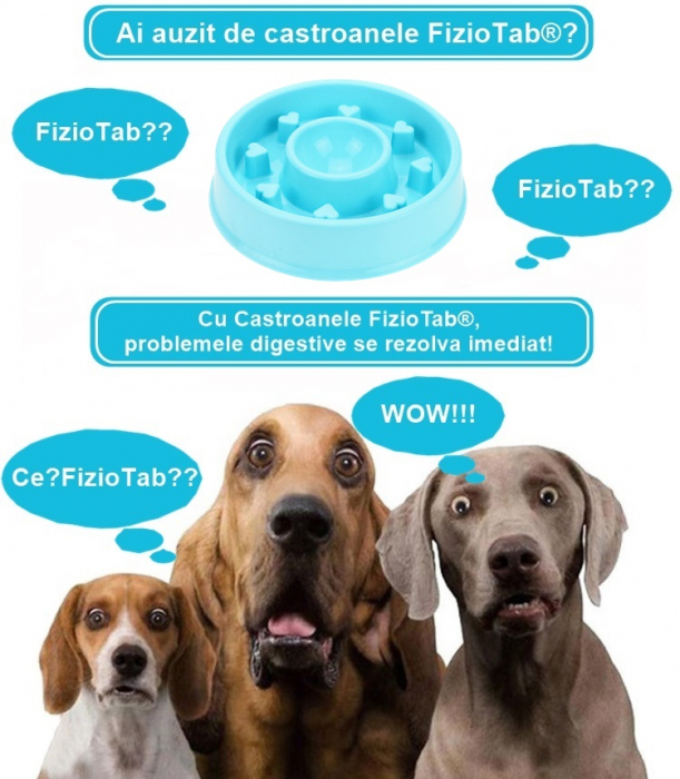 Castron Hranire Lenta Caini FizioTab®, pentru Prevenirea Indigestiei, Antiderapant, Love, Albastru [5]