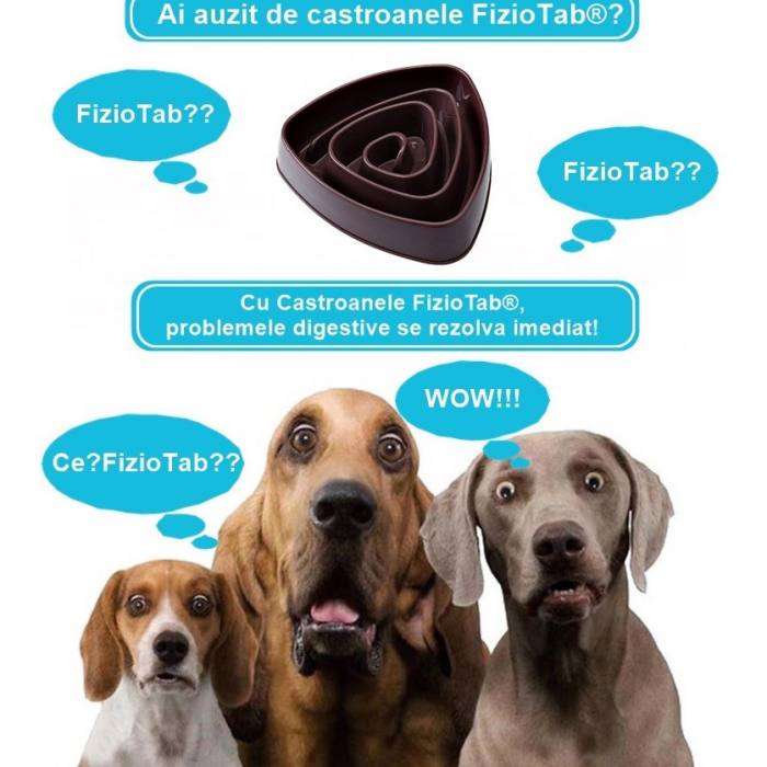 Castron Hranire Lenta Caini FizioTab®, pentru Prevenirea Indigestiei, Slow Feed Bowl Interactiv, Cafeniu [3]