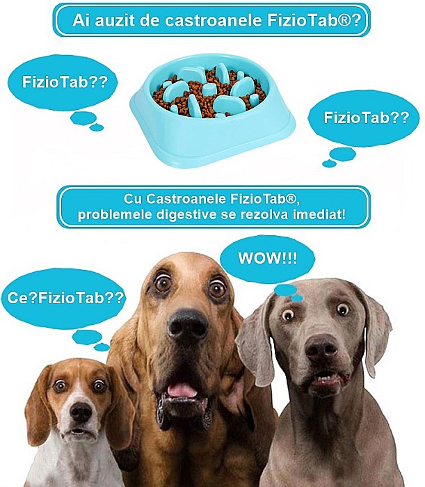 Castron Hranire Lenta pentru Caini, Pentru Prevenirea Indigestiei, Slow Feed Bol Interactiv FizioTab®, Albastru [2]