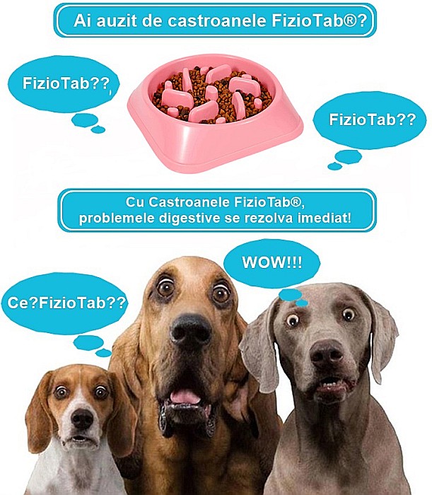 Castron Hranire Lenta pentru Caini, Pentru Prevenirea Indigestiei, Slow Feed Bol Interactiv FizioTab®, Roz [2]