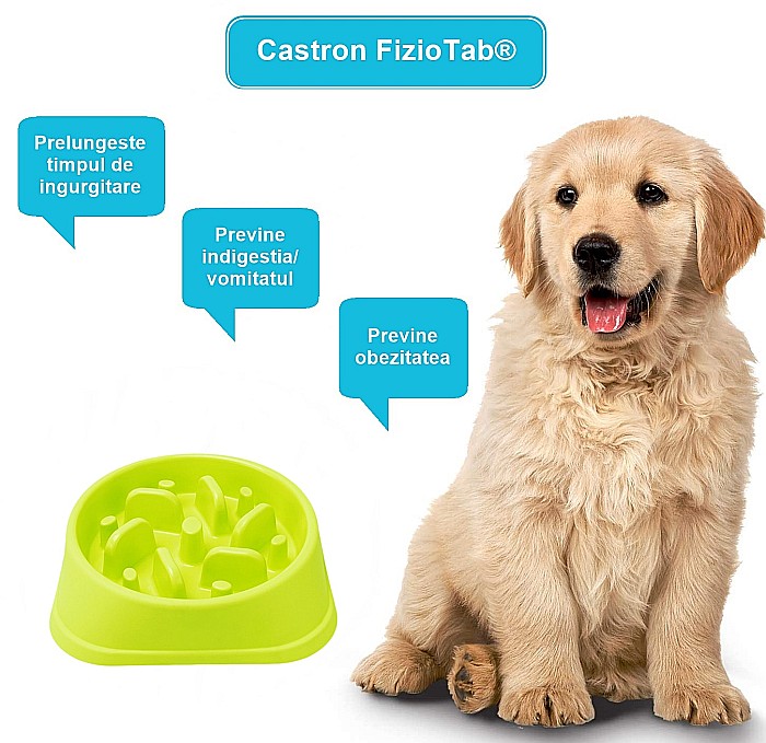 Castron Hranire Lenta pentru Caini, Pentru Prevenirea Indigestiei, Slow Feed Bol Interactiv FizioTab®, Verde [4]