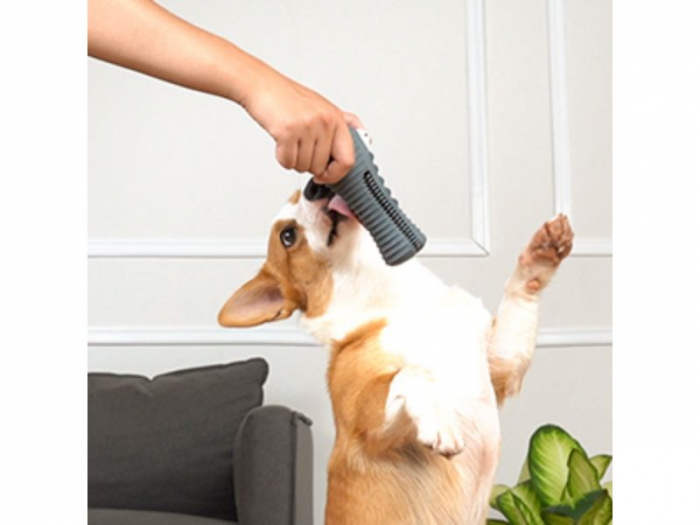 Jucarie de Ros pentru Caini, FizioTab®, Crocodil, Dog Dental Chew Toy, Gri, Cadou Periuta de Curatat [12]