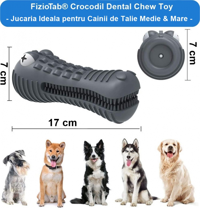 Jucarie de Ros pentru Caini, FizioTab®, Crocodil, Dog Dental Chew Toy, Gri, Cadou Periuta de Curatat [3]