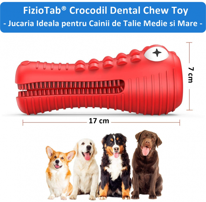 Jucarie de Ros pentru Caini, FizioTab®, Crocodil, Dog Dental Chew Toy, Rosu, Cadou Periuta de Curatat [6]