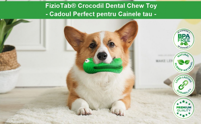 Jucarie de Ros pentru Caini, FizioTab®, Crocodil, Dog Dental Chew Toy, Verde, Cadou Periuta de Curatat [11]