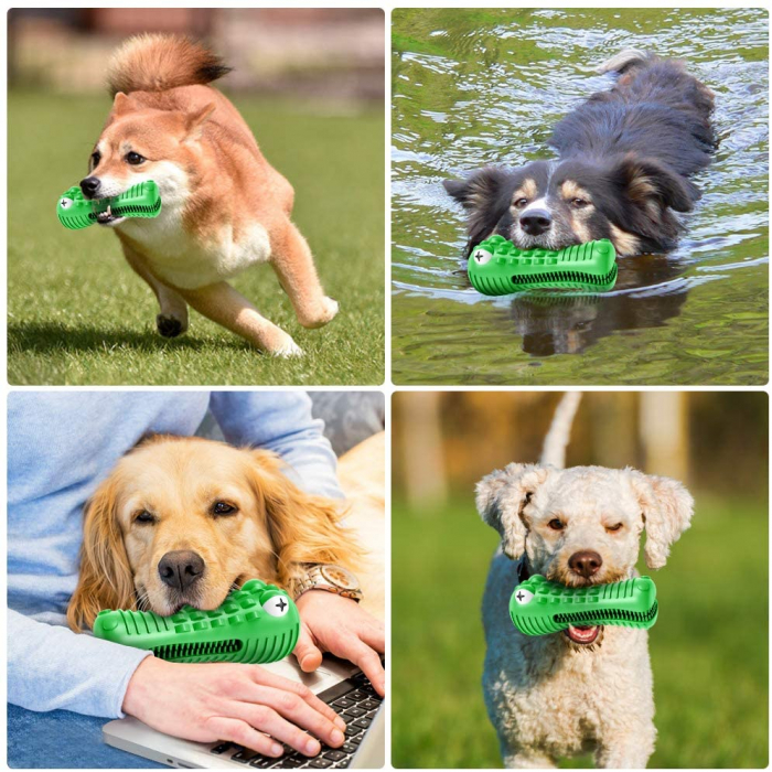 Jucarie de Ros pentru Caini, FizioTab®, Crocodil, Dog Dental Chew Toy, Verde, Cadou Periuta de Curatat [6]