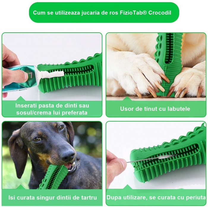 Jucarie de Ros pentru Caini, FizioTab®, Crocodil, Dog Dental Chew Toy, Verde, Cadou Periuta de Curatat [5]