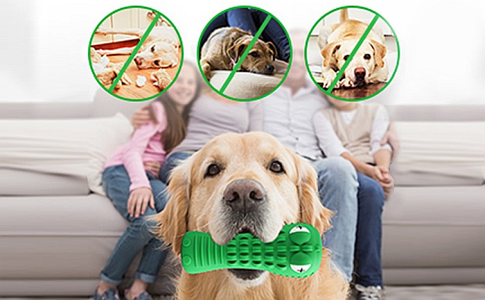 Jucarie de Ros pentru Caini, FizioTab®, Crocodil, Dog Dental Chew Toy, Verde, Cadou Periuta de Curatat [2]