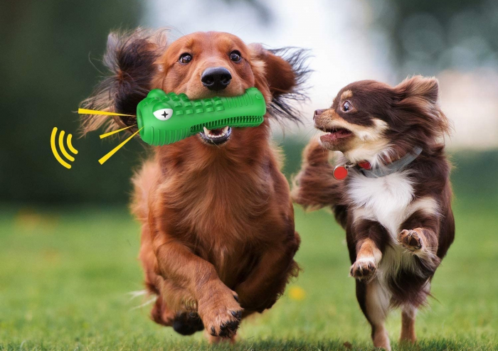 Jucarie de Ros pentru Caini, FizioTab®, Crocodil, Dog Dental Chew Toy, Verde, Cadou Periuta de Curatat [12]