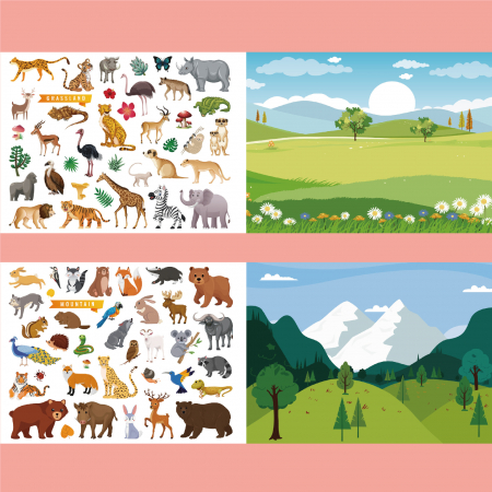 Carte Educativa pentru Copii FizioTab®, Tip Caiet cu Spirala, 600 + Stickere Reutilizabile, 13 Scene, 14 Pagini cu Imagini de Colorat si Desenat, Creioane Colorate Incluse, Habitatul Animalelor [9]