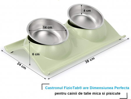 Castron Hranire cu 2 Boluri Inox, FizioTab® – Pentru Caini de Talie Mica si Pisicute, Verde [4]