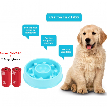 Castron Hranire Lenta Caini FizioTab®, pentru Prevenirea Indigestiei, Antiderapant, Love, Albastru [2]