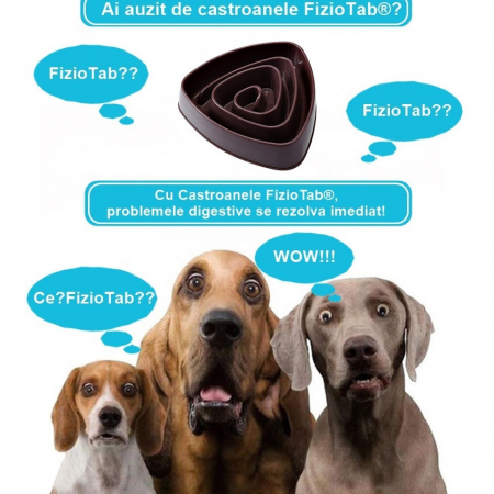Castron Hranire Lenta Caini FizioTab®, pentru Prevenirea Indigestiei, Slow Feed Bowl Interactiv, Cafeniu [2]