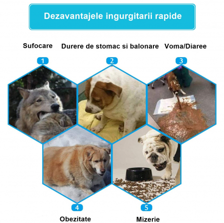 Castron Hranire Lenta Caini FizioTab®, pentru Prevenirea Indigestiei, Slow Feed Bowl Interactiv, Cafeniu [3]