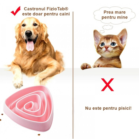 Castron Hranire Lenta Caini FizioTab®, pentru Prevenirea Indigestiei, Slow Feed Bowl Interactiv, Roz [2]