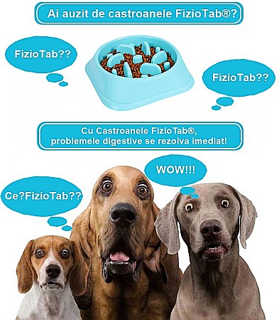 Castron Hranire Lenta pentru Caini, Pentru Prevenirea Indigestiei, Slow Feed Bol Interactiv FizioTab®, Albastru [1]