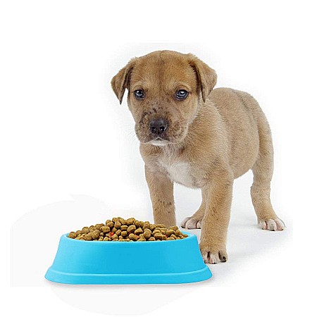 Castron Hranire Lenta pentru Caini, Pentru Prevenirea Indigestiei, Slow Feed Bol Interactiv FizioTab®, Albastru [11]