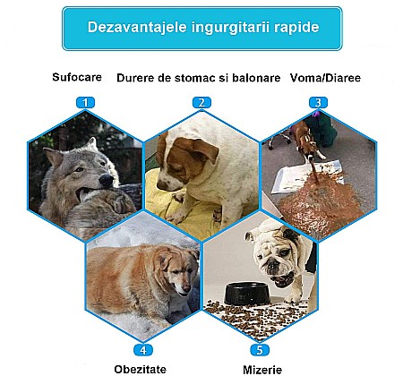 Castron Hranire Lenta pentru Caini, Pentru Prevenirea Indigestiei, Slow Feed Bol Interactiv FizioTab®, Albastru [2]