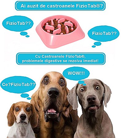 Castron Hranire Lenta pentru Caini, Pentru Prevenirea Indigestiei, Slow Feed Bol Interactiv FizioTab®, Roz [1]
