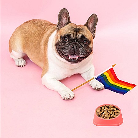 Castron Hranire Lenta pentru Caini, Pentru Prevenirea Indigestiei, Slow Feed Bol Interactiv FizioTab®, Roz [10]