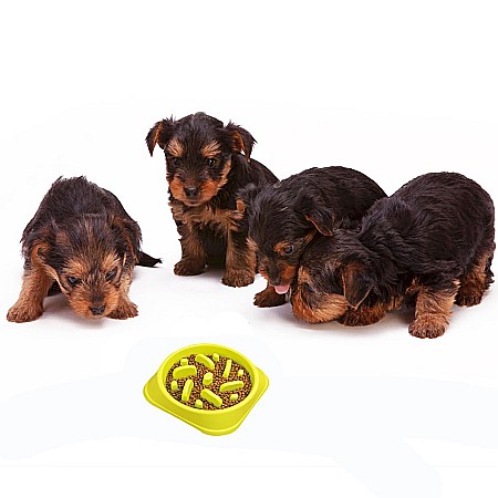 Castron Hranire Lenta pentru Caini, Pentru Prevenirea Indigestiei, Slow Feed Bol Interactiv FizioTab®, Verde [11]