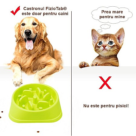 Castron Hranire Lenta pentru Caini, Pentru Prevenirea Indigestiei, Slow Feed Bol Interactiv FizioTab®, Verde [7]
