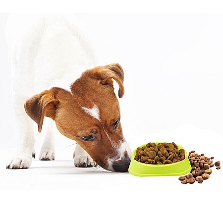 Castron Hranire Lenta pentru Caini, Pentru Prevenirea Indigestiei, Slow Feed Bol Interactiv FizioTab®, Verde [12]