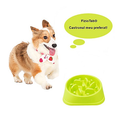 Castron Hranire Lenta pentru Caini, Pentru Prevenirea Indigestiei, Slow Feed Bol Interactiv FizioTab®, Verde [10]