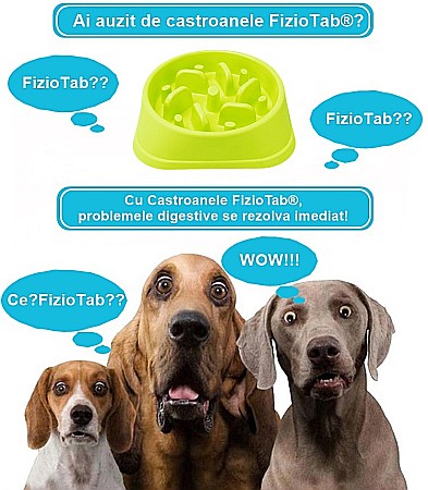Castron Hranire Lenta pentru Caini, Pentru Prevenirea Indigestiei, Slow Feed Bol Interactiv FizioTab®, Verde [1]