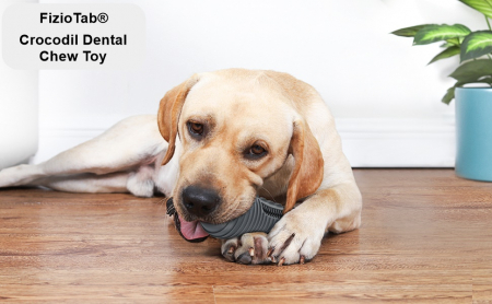 Jucarie de Ros pentru Caini, FizioTab®, Crocodil, Dog Dental Chew Toy, Gri, Cadou Periuta de Curatat [8]
