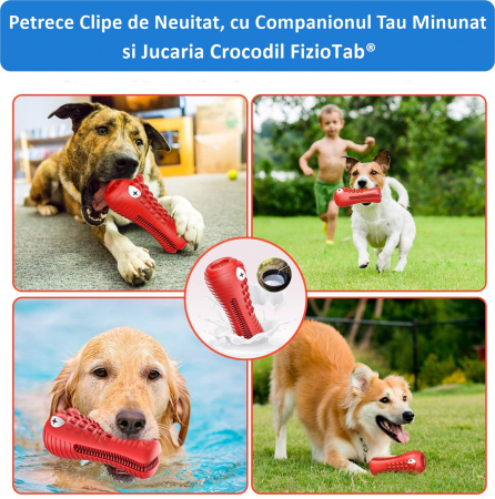 Jucarie de Ros pentru Caini, FizioTab®, Crocodil, Dog Dental Chew Toy, Rosu, Cadou Periuta de Curatat [3]