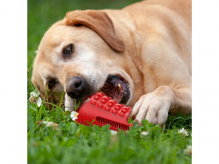 Jucarie de Ros pentru Caini, FizioTab®, Crocodil, Dog Dental Chew Toy, Rosu, Cadou Periuta de Curatat [6]