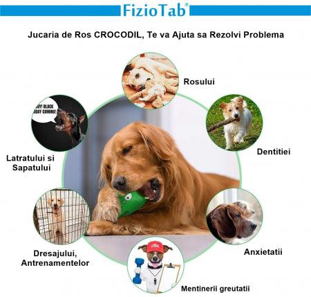 Jucarie de Ros pentru Caini, FizioTab®, Crocodil, Dog Dental Chew Toy, Verde, Cadou Periuta de Curatat [2]