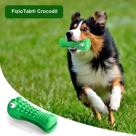 Jucarie de Ros pentru Caini, FizioTab®, Crocodil, Dog Dental Chew Toy, Verde, Cadou Periuta de Curatat [6]