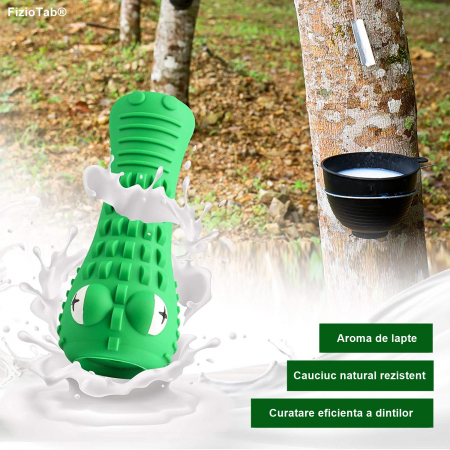 Jucarie de Ros pentru Caini, FizioTab®, Crocodil, Dog Dental Chew Toy, Verde, Cadou Periuta de Curatat [8]