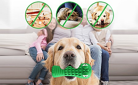 Jucarie de Ros pentru Caini, FizioTab®, Crocodil, Dog Dental Chew Toy, Verde, Cadou Periuta de Curatat [1]