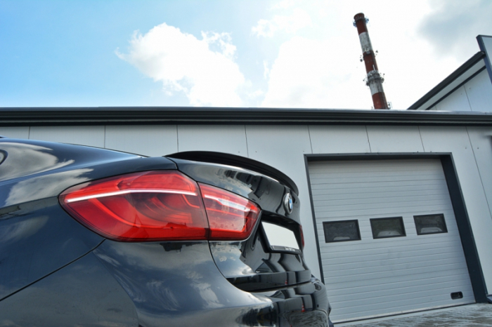 Eleron  BMW X6 F16 MPACHET [3]