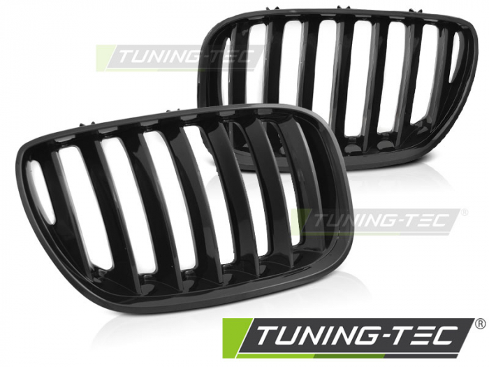 Grila BMW X5 E53 LCI 04-06 Negru lucios  [1]