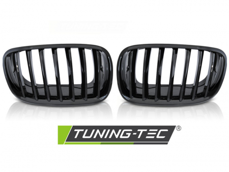 Accesorii auto exterior - Grila negru lucios BMW X5 E70 X6 E71 08-