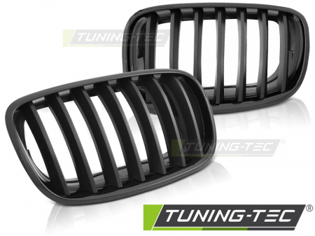 Accesorii auto exterior - Grila Negru Mat/Lucios pentru BMW X5 E70 X6 E71 08-