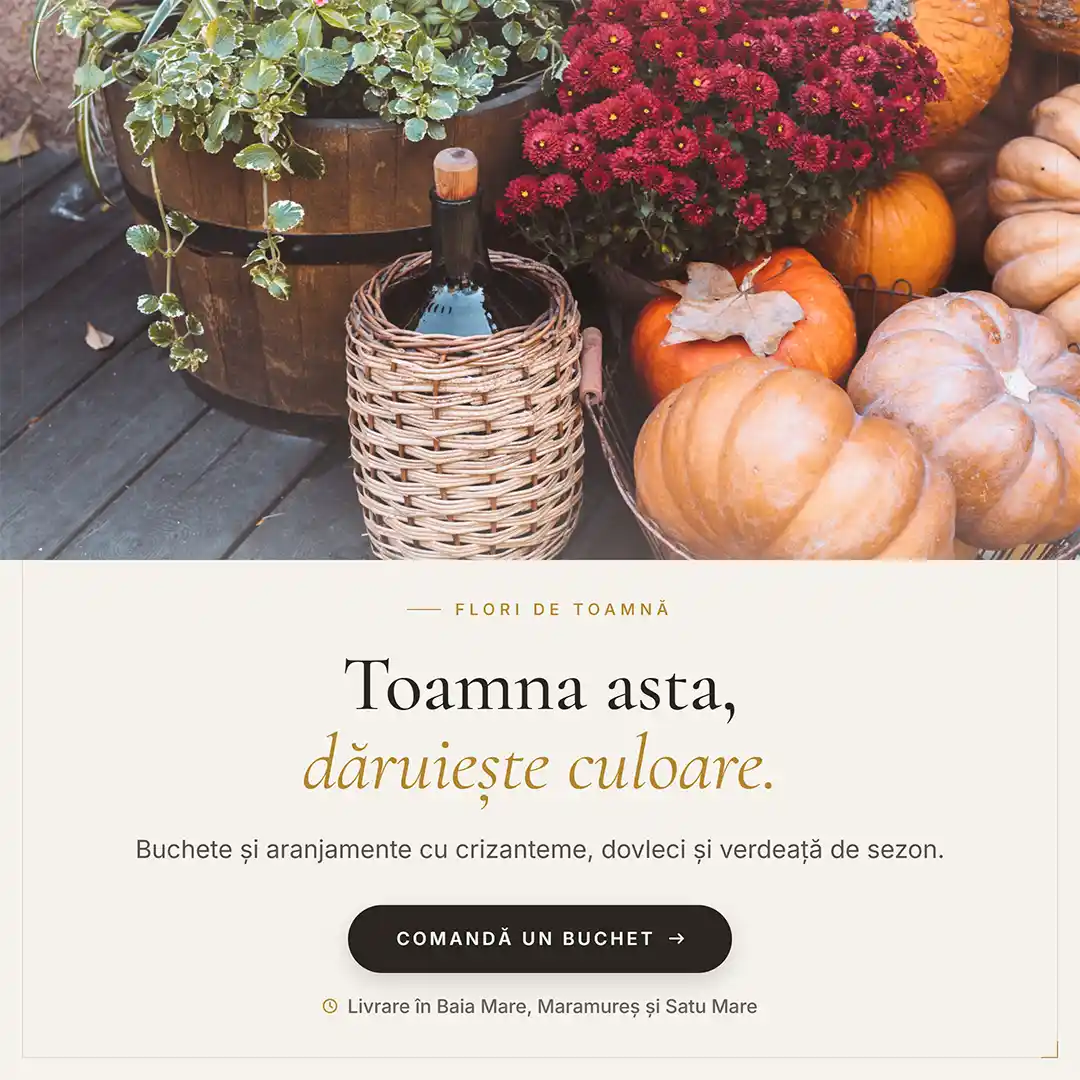 Flori de Toamna