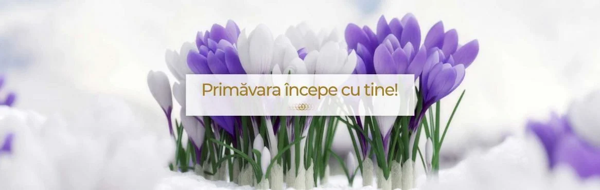 Cele Mai Frumoase Buchete de Flori de Primăvară - Pentru Orice Ocazie