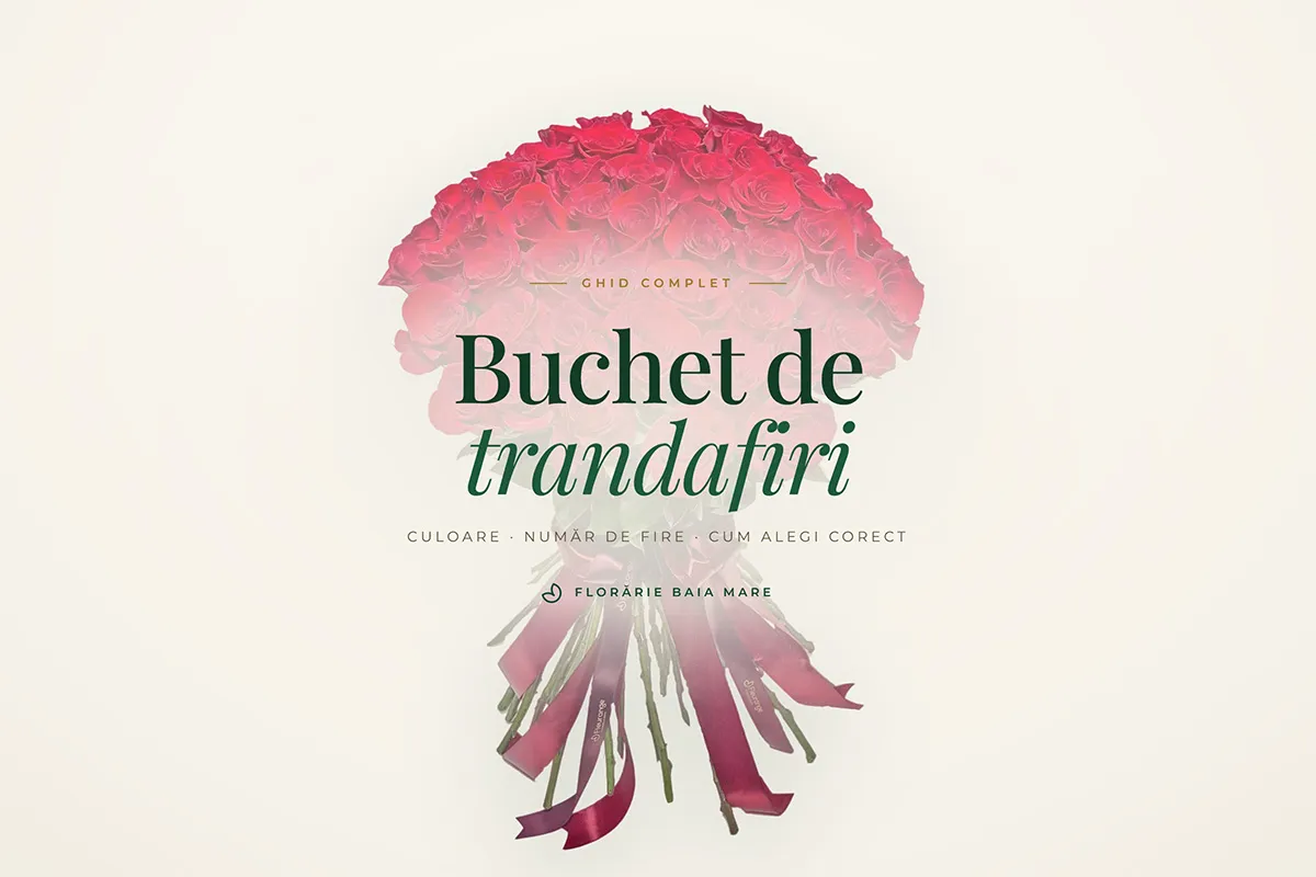 Buchet de Trandafiri in Baia Mare, Maramures